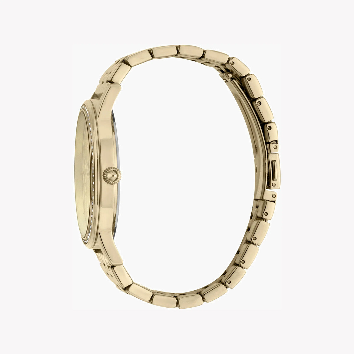 Just Cavalli Women's Gold Watch, Champagne Dial | Jc1l094m0055-1