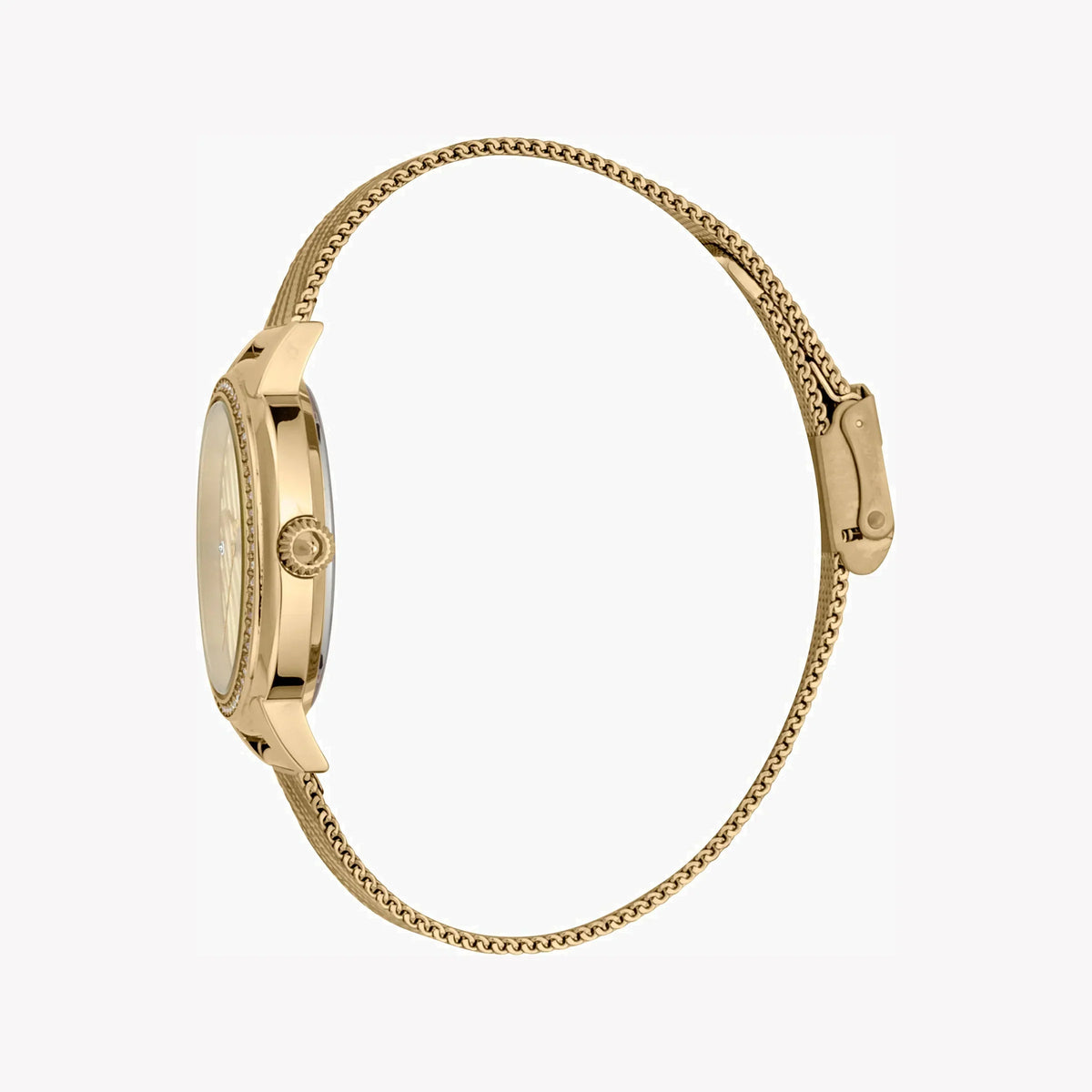 Just Cavalli Women's Gold Stainless Steel Watch, Champagne Dial | Jc1l146m0055